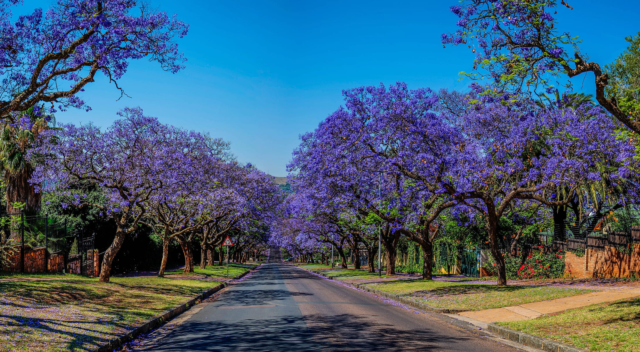 Union Buildings, Pretoria, at golden hour