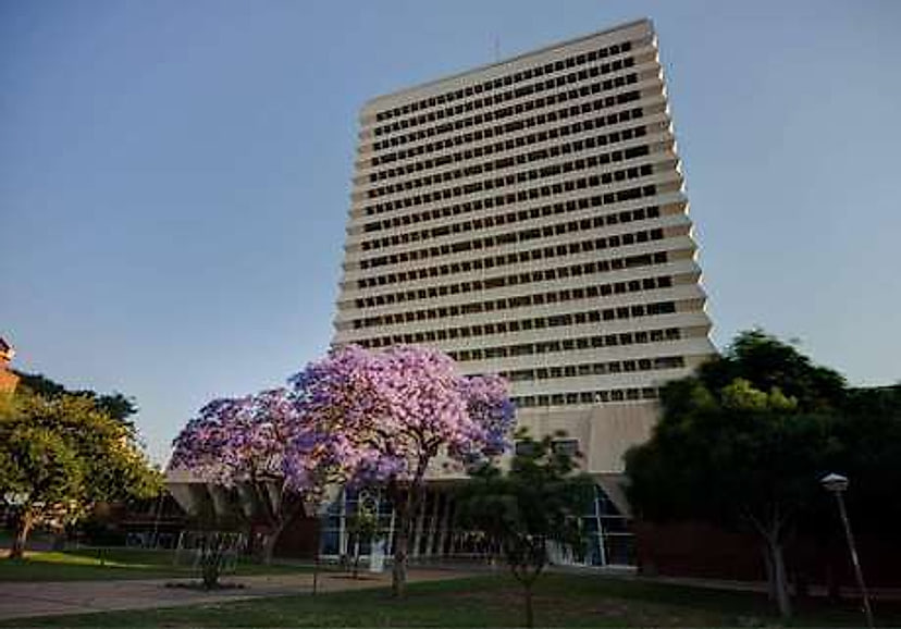 Faculty of Humanities among jacaranda trees