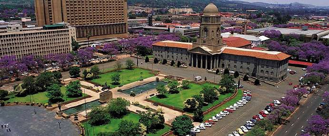Pretoria, under the jacaranda